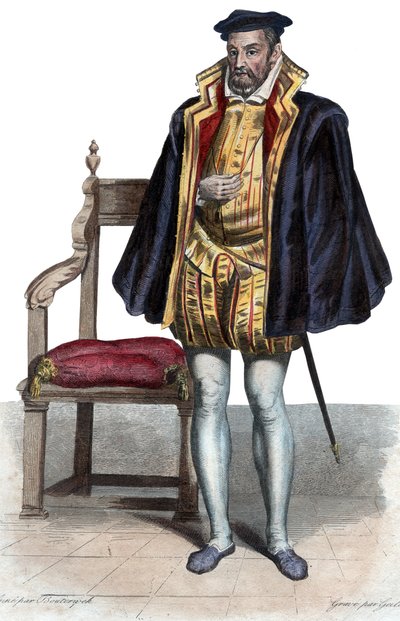 Portrait of Gaspard II de Coligny (1519-1572), French nobleman and admiral by French School